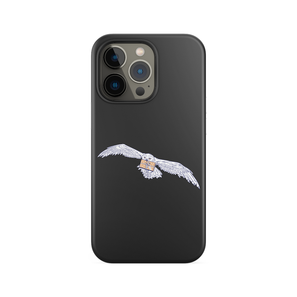 Capa Harry Potter -  Carta Hedwig
