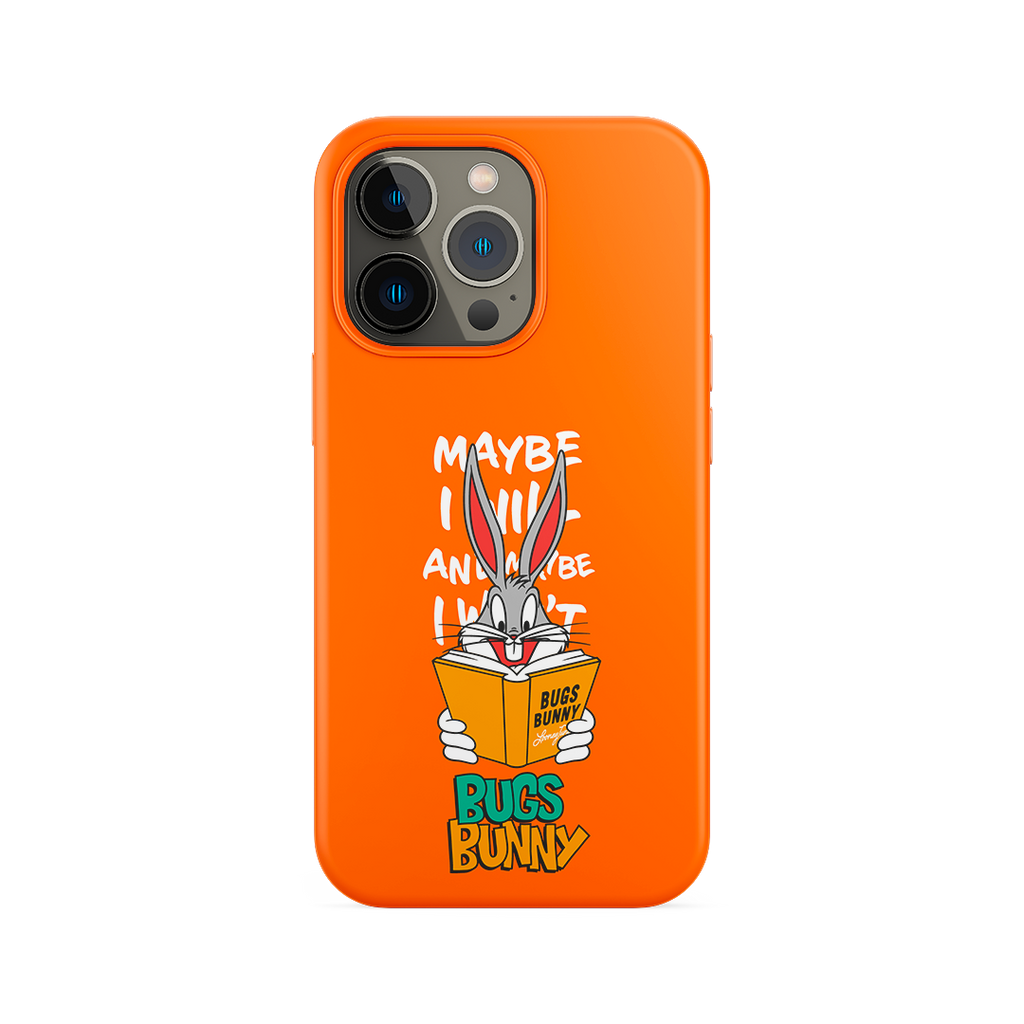 Capa Looney Tunes -  Do Livro De Bugs Bunny